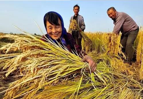 重磅！繼包產(chǎn)到戶之后，我國農(nóng)村又一次迎來重大改革