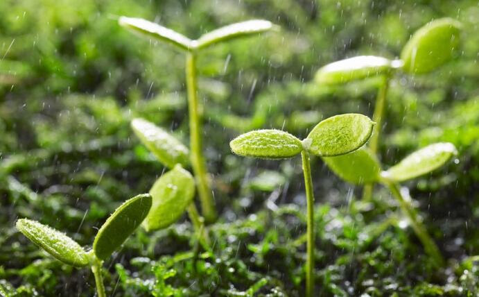 動態(tài) | 生物刺激劑多重效果大揭秘，可減少百萬噸氮肥的投入！